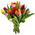 Bouquet of Tulips