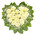 Flowers in the form of heart with gypsophila