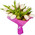 Inexpensive bouquet of white tulips