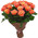 25 peach roses