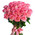 35 roses Jumilia