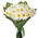 Summer bouquet of chamomiles