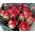 15 original roses 2