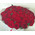 Large bouquet of roses in Cherkassy 3