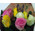 Bouquet of 7 roses 3