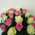Bouquet of pink and white roses 2