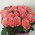 Trendy roses in a bouquet 3