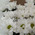 A small bouquet of chrysanthemums 4