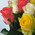 Magnificent bouquet of roses 7