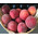 Delicious peaches in a basket 3