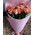 15 peach roses Miss Piggy 2