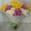 15 multicolored chrysanthemums 7