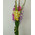 5 gladioluses in a bouquet 1
