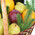 Large Christmas basket of fruit with elite champagne 2
