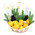 Elite basket for the New Year 2