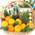 New Year's basket with champagne 1