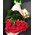 Red Roses in Kraft 4