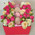 Mini box with roses and pastries 3