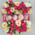 Mini box with roses and pastries 4