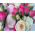Mini box with roses and pastries 6