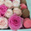 Small box with macaroons and roses 3