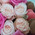 Small box with macaroons and roses 4