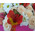 Delicate Flowers and Macarons 4