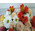 Delicate Flowers and Macarons 5