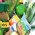 Christmas basket with coffee 2