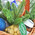 Grocery gift basket for the New Year 2