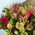 Glorious bouquet of alstroemerias 1