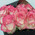 15 original roses 5
