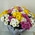 21 multi-colored chrysanthemum 2
