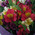 Bouquet of alstroemerias in paper 3