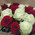 Bouquet of scarlet and white roses 2
