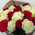 Bouquet of scarlet and white roses 5