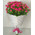 Bouquet of pink rose bush 1
