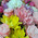 Enchanting bouquet 6