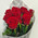 Trendy bouquet of red roses 5