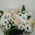 Delicate bouquet of flowers 4