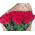 21 red roses 1