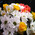 White-yellow bouquet of flowers 2