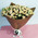 Bouquet of 51 roses 1