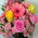 Bouquet of lilies and gerberas 2