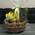 Fruit basket with pineapple 2