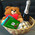 Basket of champagne, toy and sweets 1