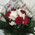 Small bouquet 14