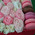 Small box with macaroons and roses 8