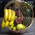 Popular fruit basket 5