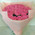 Chic bouquet of pink roses 2